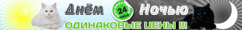 Цены в наших ветеринарных клиниках в дневное и ночное время одинаковые Цены в наших ветеринарных клиниках в дневное и ночное время одинаковые