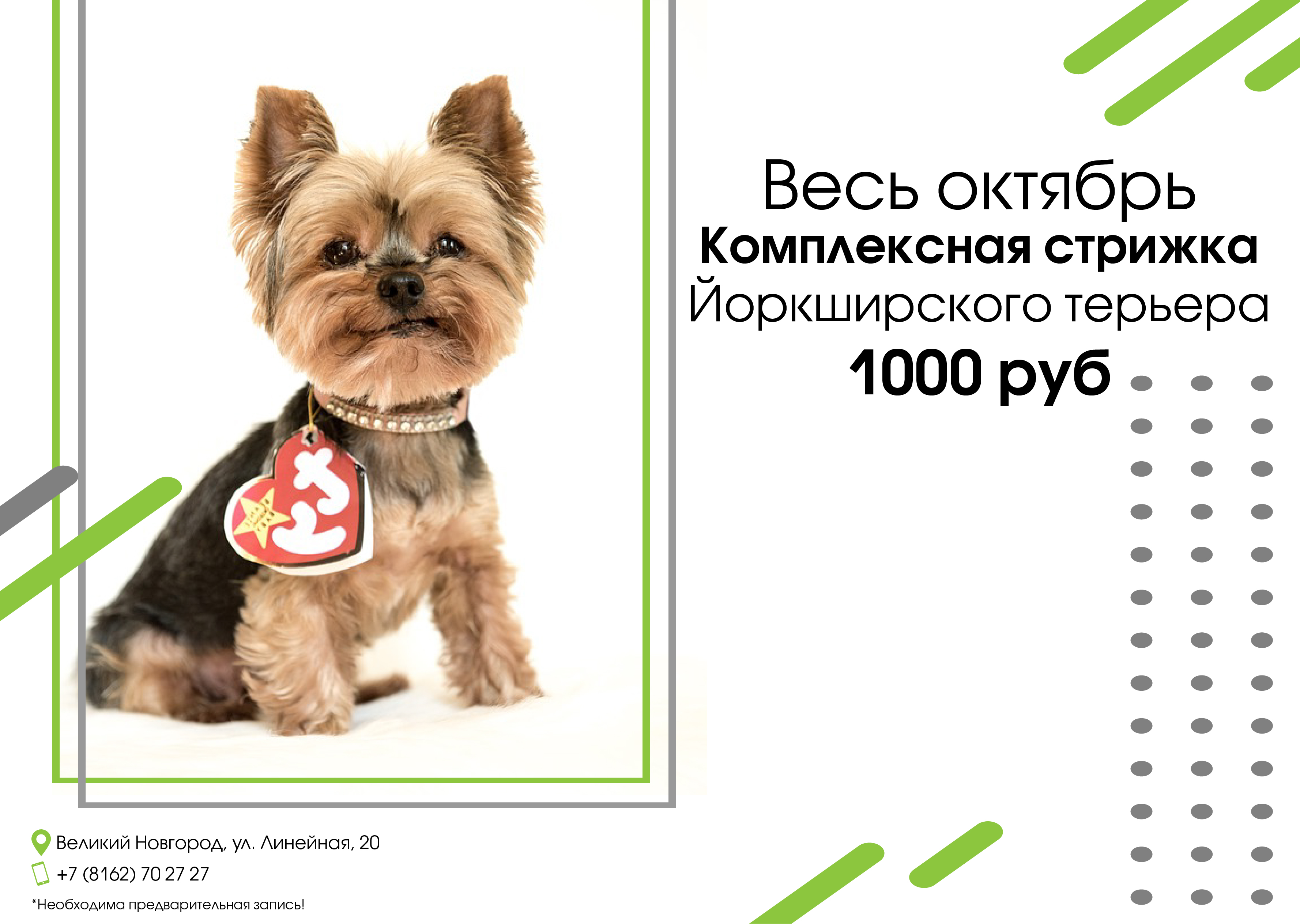Акция в Новгороде Акция в Новгороде