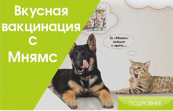 Получите свой вкусный подарок при ежегодной вакцинации ваших питомцев! Получите свой вкусный подарок при ежегодной вакцинации ваших питомцев!