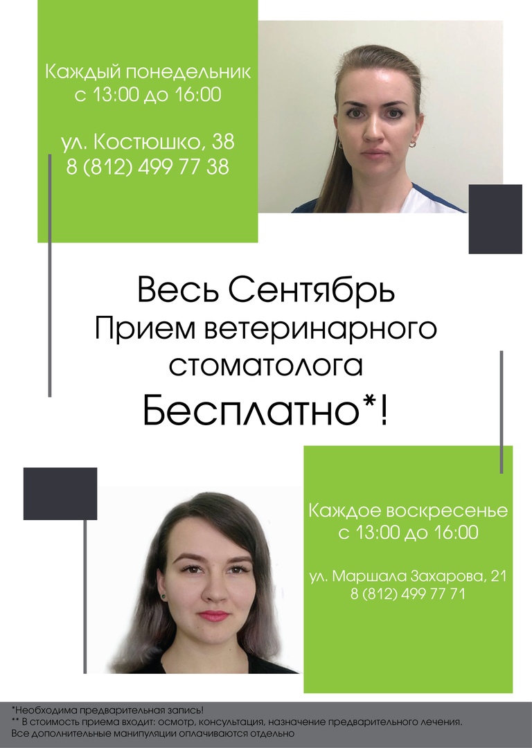 Прием стоматолога бесплатно Прием стоматолога бесплатно