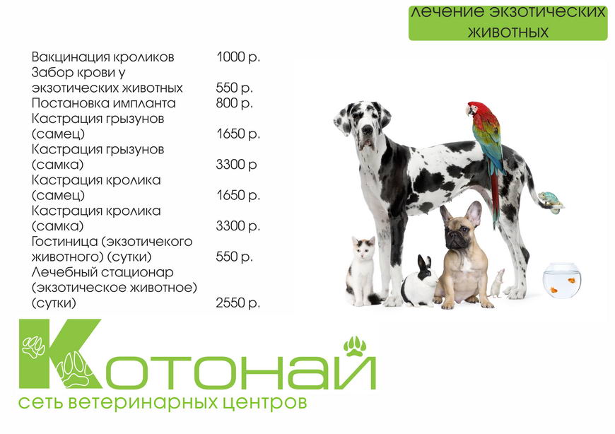 6ст.ЭЖ 6ст.ЭЖ