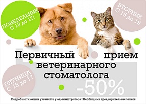 Первичный прием стоматолога с минус 50%! Первичный прием стоматолога с минус 50%!