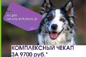 ����������� �����