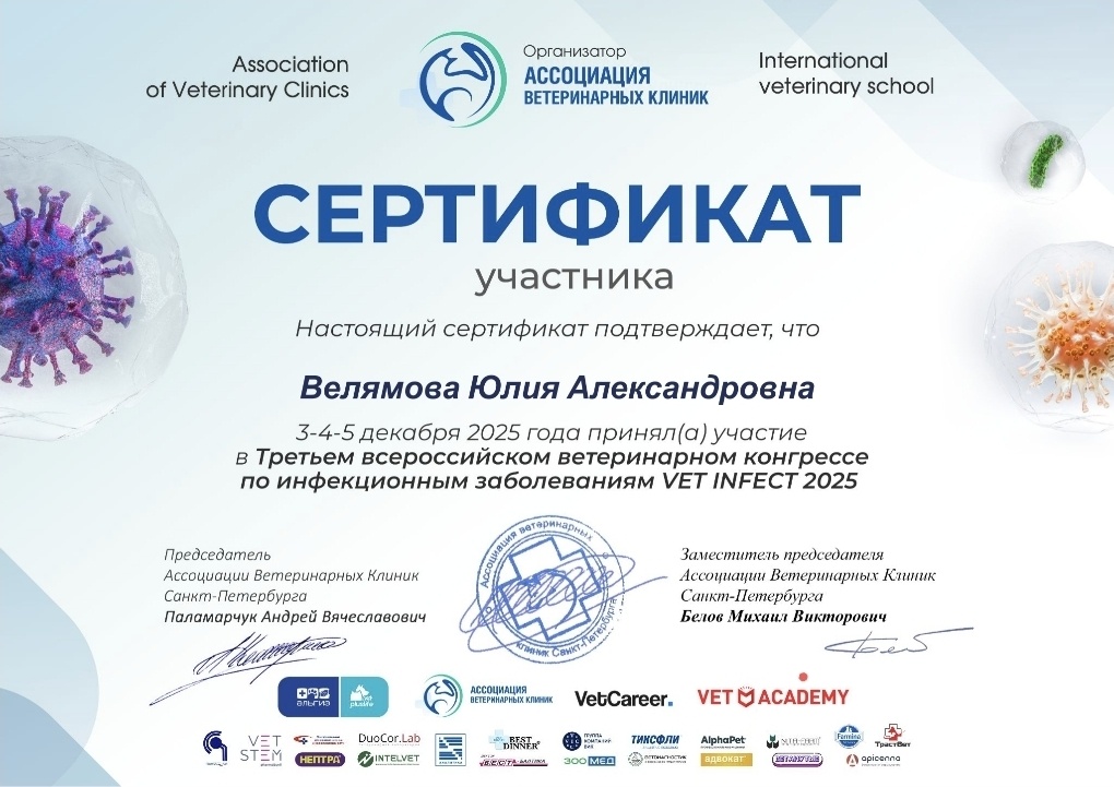 Велямова (Бойко) Юлия Александровна Велямова (Бойко) Юлия Александровна