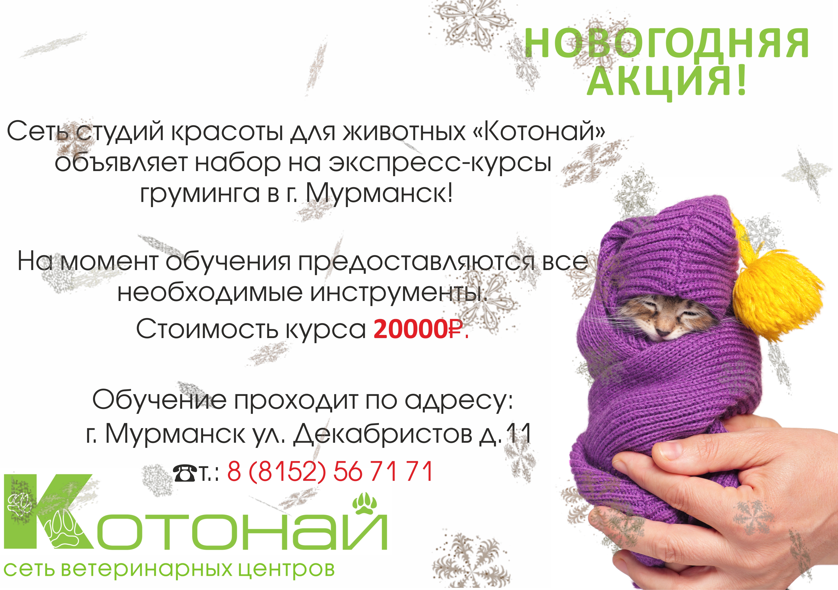 НОВОГОДНЯЯ АКЦИЯ! Курсы груминга в городе Мурманск всего за 20 000 рублей