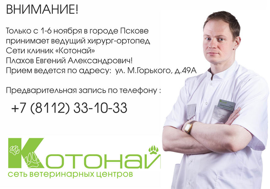 Только с 1-6 ноября в городе Пскове принимает ведущий хирург-ортопед Сети клиник «Котонай» Плахов Евгений Александрович!