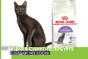    Royal Canin Sterilised  