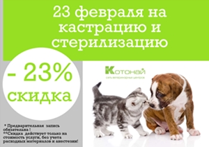 Всемирный день кастрации домашних животных Всемирный день кастрации домашних животных