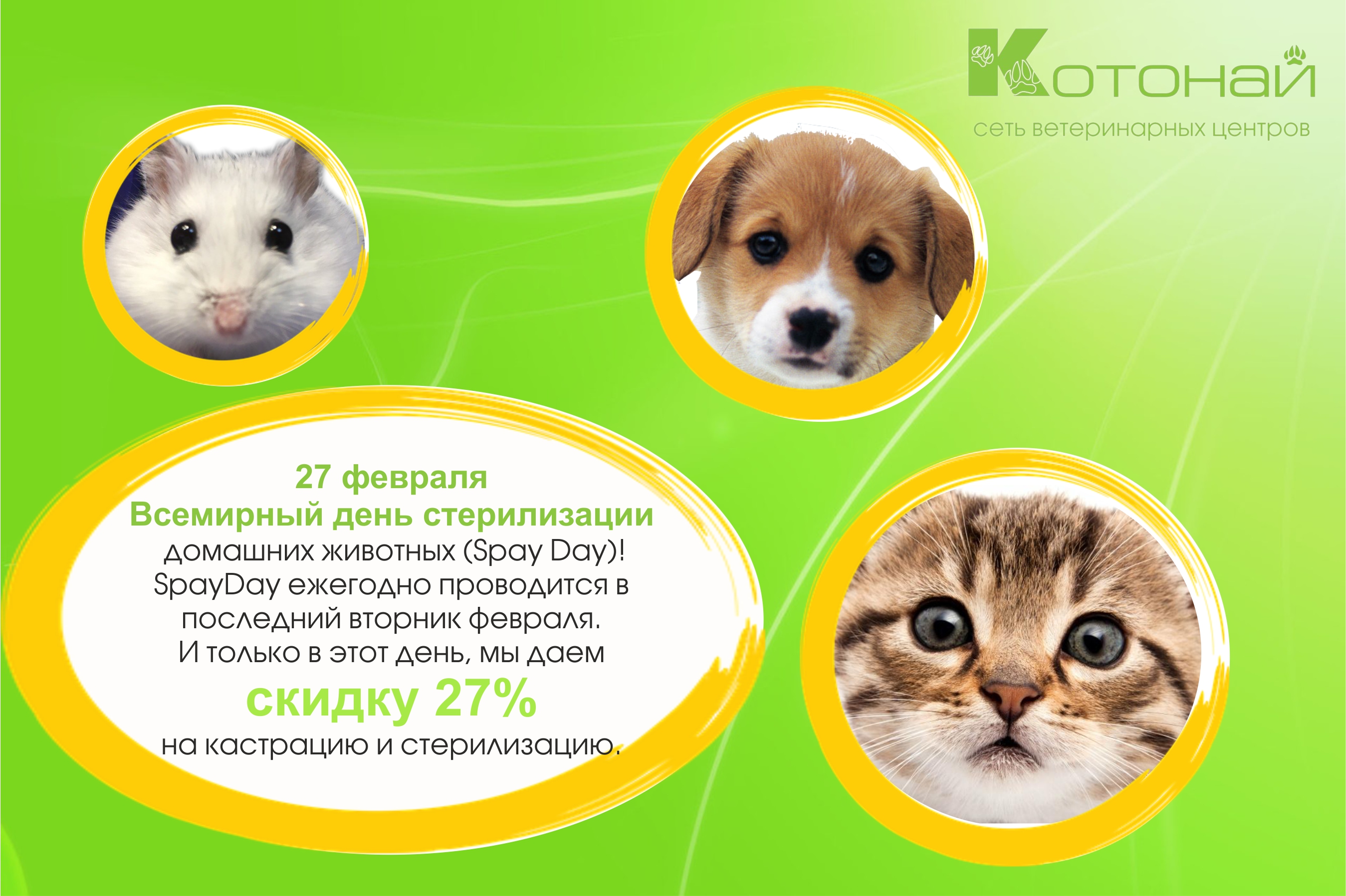 27 февраля - Всемирный день стерилизации домашних животных (Spay Day)!