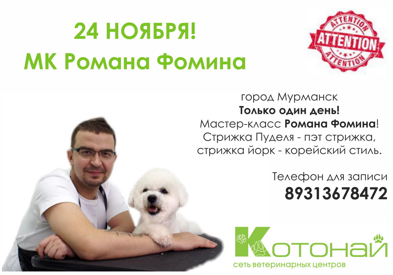 Важная новость для грумеров города Мурманск! И тех, кто увлекается стрижкой собак.