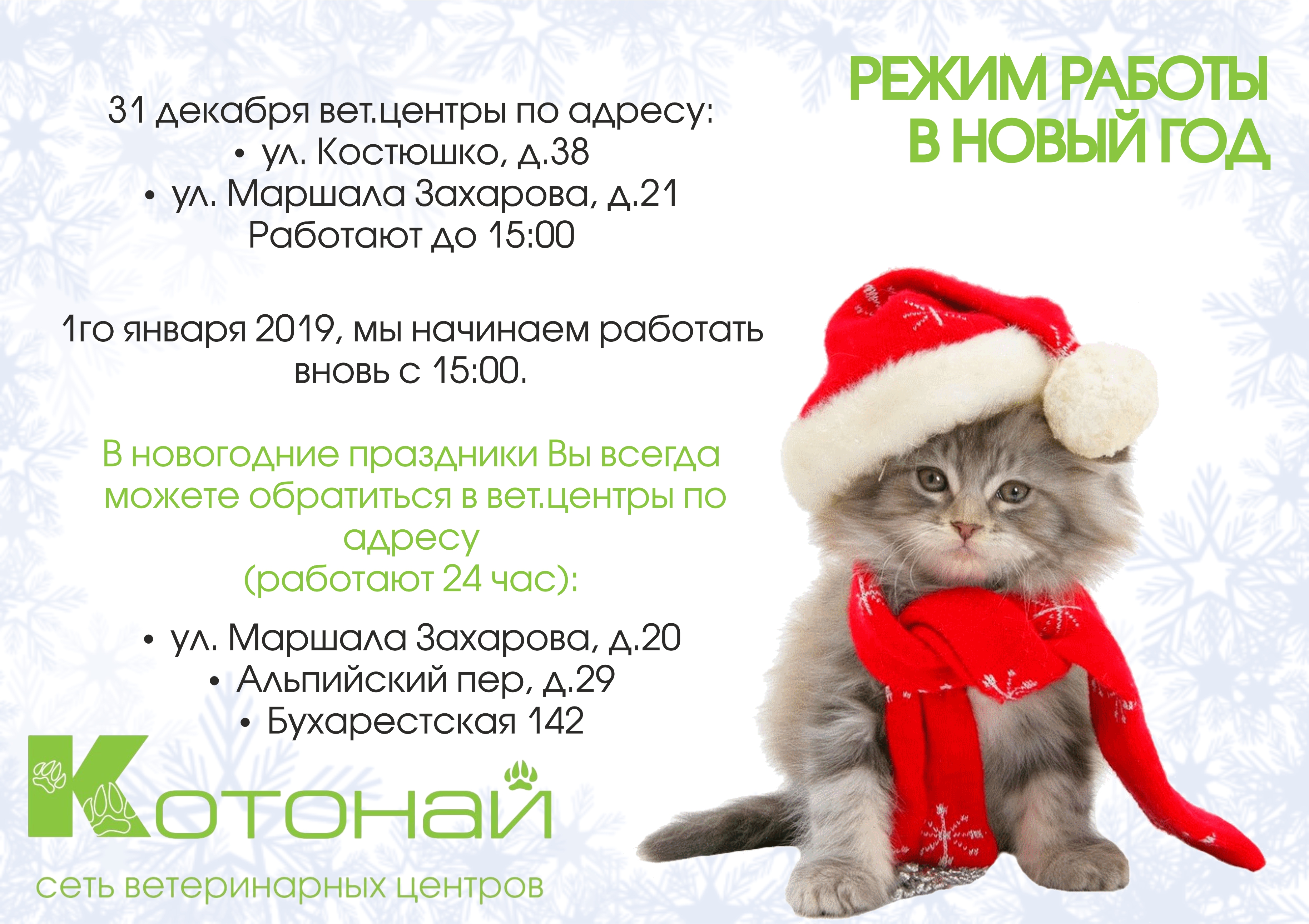 Режим работы ветеринарных центров в новогоднюю ночь в Санкт-Петербурге
