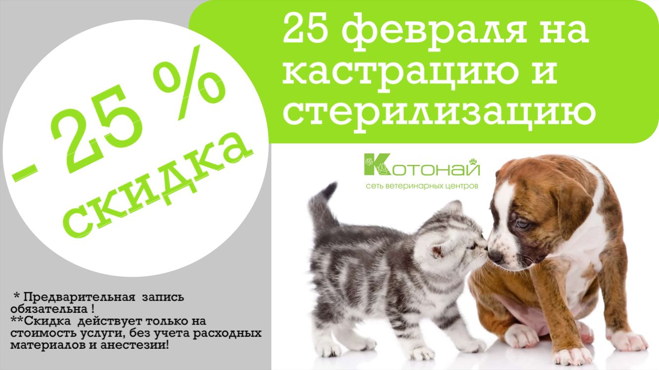 кастрация 25" + полный макет кастрации кастрация 25" + полный макет кастрации