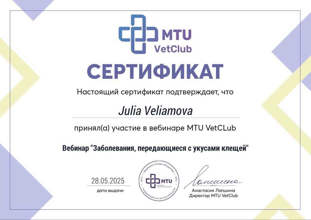 Велямова (Бойко) Юлия Александровна Велямова (Бойко) Юлия Александровна