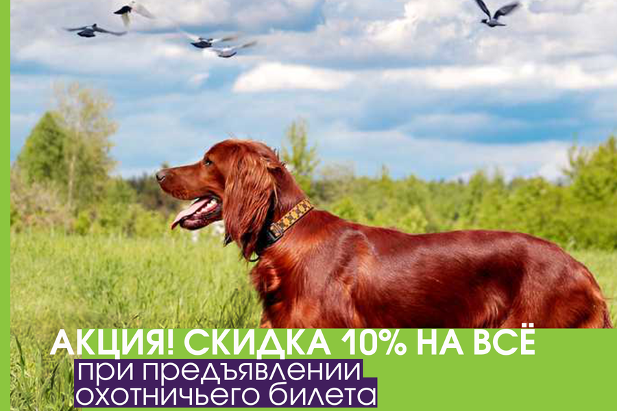 Скидка 10% на все услуги для собак охотничьих пород