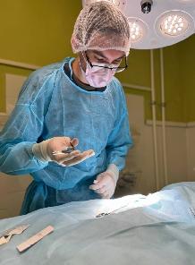 ������������ ����-������, �������, �������� � ���������