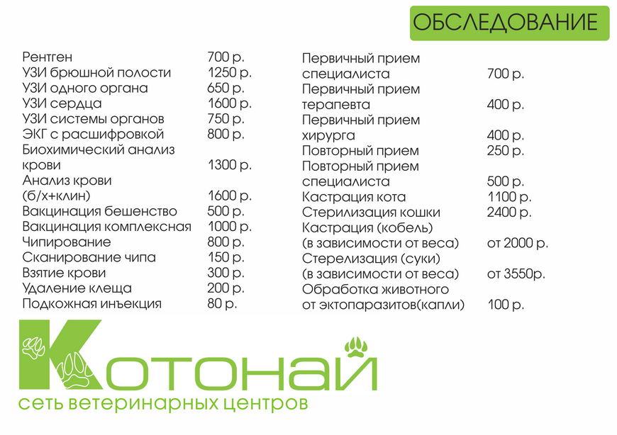 Цены ветеринарной клиники Котонай в Новгороде
