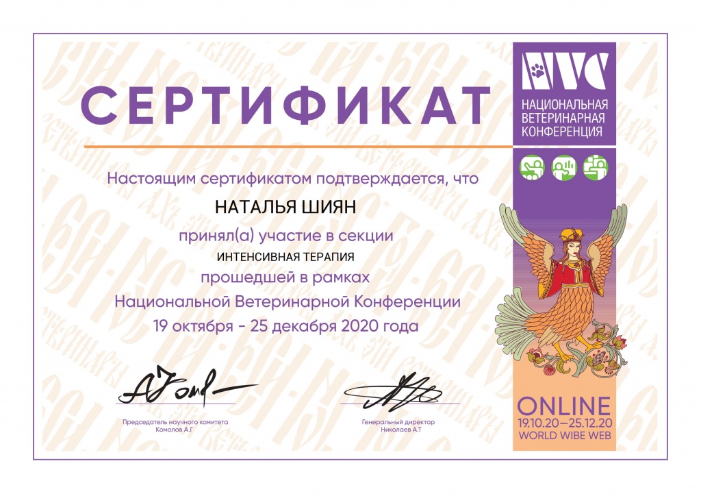    nvc-1.jpg