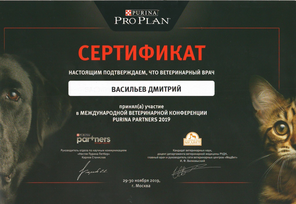 сертификат Васильев.JPG