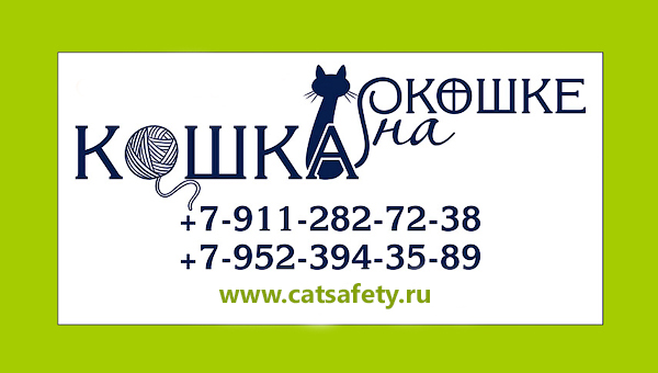 Кошка на окошке Кошка на окошке