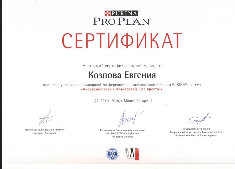Козлова ЕА Сертификаты.3.jpg
