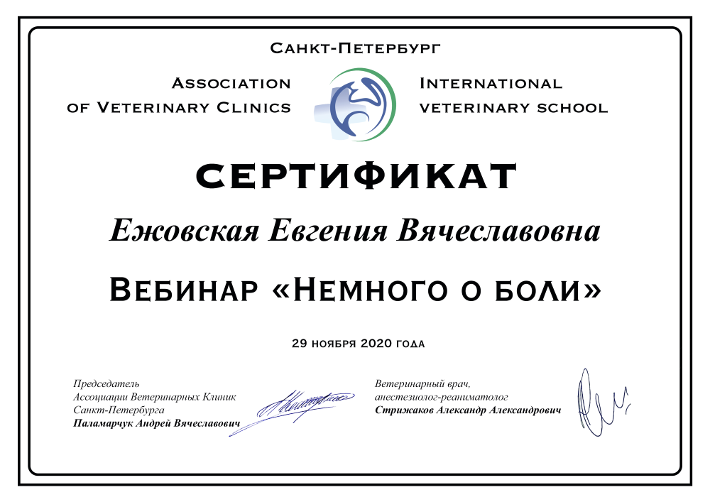 ежовская_евгения_вяч.png