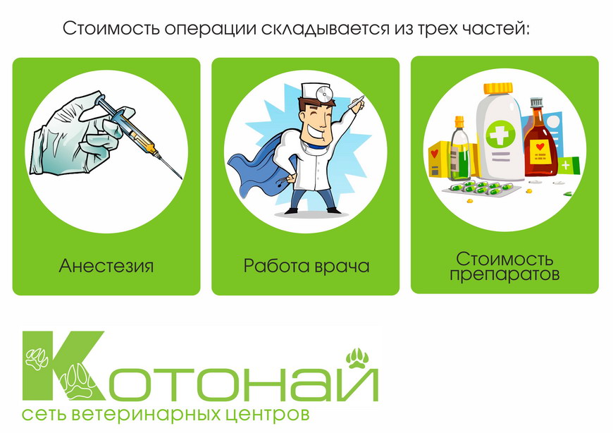 Прайс-лист ветеринарной клиники Котонай в Иваново
