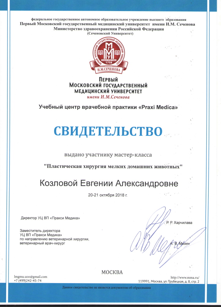 Козлова ЕА Сертификаты..jpg